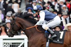 Arctic Cosmos mit William Buick in Royal Ascot. www.galoppfoto.de - Frank Sorge