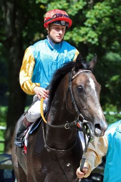 Ariolo mit Martin Seidl nach dem Sieg im Düsseldorfer Zweijährigen-Rennen. ©galoppfoto - Stephanie Gruttmann