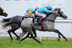 Arktis gewinnt mit Martin Seidl die Taxi4Horses Fillies Trophy. www.galoppfoto.de - Sabine Brose