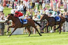 Ashrun gewinnt eindrucksvoll das letzte Vorbereitungsrennen auf das Derby. www.galoppfoto.de - Sabine Brose