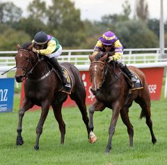 Athalyna (re) gewinnt gegen Alte Lady England am 8.10.2017 in Dortmund - Foto: Dr. Jens Fuchs