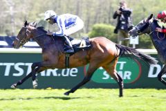 Auf den Spuren ihrer erfolgreichen Mutter, der Gr. II-Siegerin Sand Zabee? View Zabeel läßt mit Eduardo Pedorza in Hoppegarten darauf hoffen. ©galoppfoto - Sabine Brose