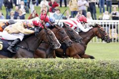 Aus der Reihe - mit der Nase vorn: Flying Dreams mit Jozef Bojko gewinnt in Hoppegarten. www.galoppfoto.de - Frank Sorge