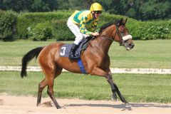 Belle Krisando beim Aufgalopp in Köln mit Adrie de Vries. www.galoppfoto.de - Marius Schwarz