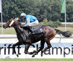 Black Wolf Run gewinnt am 9.7.2017 in Köln - Foto: Dr. Jens Fuchs