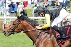 Bümmerhofer mit Derbynennung - Woodking ist mit  Wladimir Panov im Sieglosen-Rennen vorne. www.galoppfoto.de - Sabine Brose