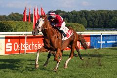 Burschentanz mit Andre Best gewinnt am 27.09.2014 in Dresden. www.galoppfoto.de - Sabine Brose