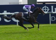 Camelot beim Investec Derby in Epsom. Foto: Heidrun Küster