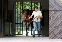 Campanologist - der neue Stallion im Gestüt Fährhof. www.galoppfoto.de - Frank Sorge