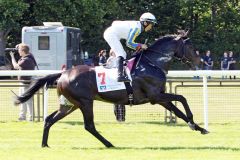 Capone mit Bayarsaikhan Ganbat beim Aufgalopp am 21.05.2018 in Hannover. www.galoppfoto.de - Noe Tim Sorge