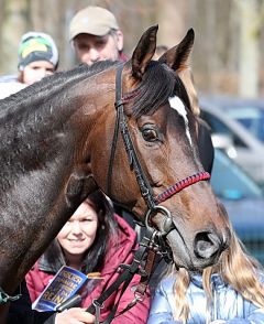 Cassilero am 17.3.2019 in Krefeld - Foto: Dr. Jens Fuchs