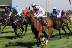 Cheviot bei seinem Sieg mit Andrew Breslin in der Dortmunder Super-Sprinter-Cup-Serie, die der 13jährige Wallach für sich entscheiden konnte. www.galoppfoto.de - Stephanie Gruttmann