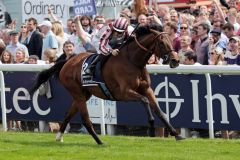 Sieg Nummer 21 für Cirrus des Aigles: Mit Cristophe Soumillon gewinnt er den Coronation Cup vor Flintshire und Ambivalent. www.galoppfoto.de - Petr Guth