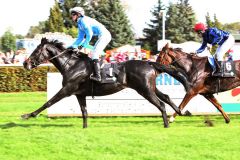 Cosinus  gewinnt mit Tommaso Scardino beim Leipziger Saisonfinale 2014. www.galoppfoto.de - Frank Sorge