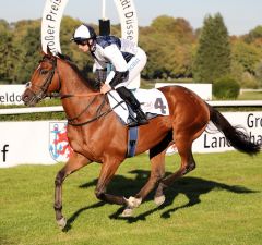 Crazy Horse am 30.9.2018 in Düsseldorf - Foto: Dr. Jens Fuchs