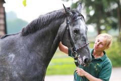 Crespo in guten Händen mit Besitzerin und Siegreiterin Olga Laznovska. Foto: Maximilian Koch