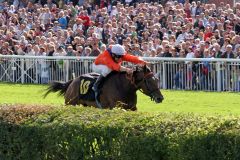 Danedream siegt im 121. Großen Preis von Berlin in Hoppegarten mit Andrasch Starke im Sattel. www.hoppegarten.com