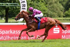 Dao Vasco bei seinem Sieg am 21.05.2016 in Mülheim (Foto: Dr. Jens Fuchs)