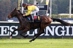 Dapango siegt mit Thore Hammer-Hansen im 2yo-Maiden in Hoppegarten. ©galoppfoto - Sabine Brose