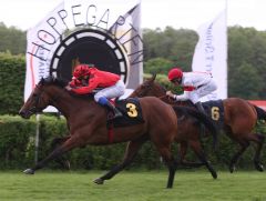 "Das Reitgeld hat er sich hart erarbeitet", lobt Uwe Stech, Hoppegartener Trainer des Siegpferdes Twilight, den Jockey Dennis Schiergen. www.galoppfoto.de - Sabine Brose