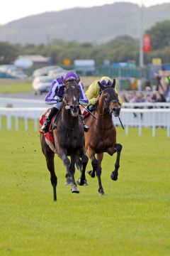 Der Favorit setzt sich im Irish Derby durch - Camelot mit Joseph O'Brien. www.galoppfoto.de - John-James Clark