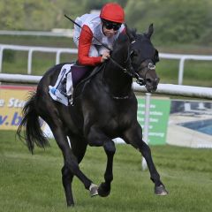 Der größte Erfolg für den von Peter Schiergen für Moritz Bechers Stall Hanse trainierten Calif nach einem meisterlichen Ritt von Adrie de Vries. ©galoppfoto - Sarah Bauer 