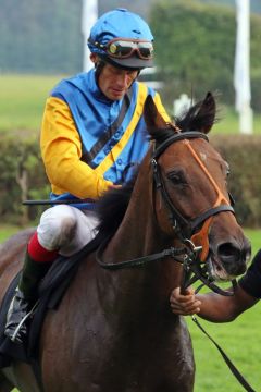 Der Stern mit Alexander Pietsch nach dem Sieg in Hoppegarten. www.galoppfoto.de - Sabine Brose