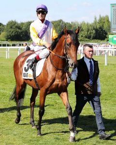 Destino bei der Parade zum Deutschen Derby, das er auf dem zweiten Platz beendete, nur geschlagen vom Trainingsgefährten Weltstar - Foto: Dr. Jens Fuchs