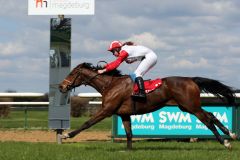 Diani gewinnt mit Nora Blasczyk am 18.04.2015 in Magdeburg. www.galoppfoto.de - Peter Heinzmann