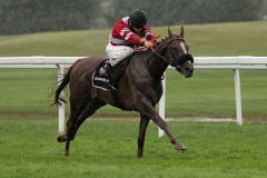 Dicaprio bringt sich mit Clement Lecoeuvre durch einen 7-Längen-Sieg im Münchner Derby-Trial für Hamburg ins Gespräch. www.galoppfoto.de - WiebkeArt