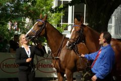 Die Damen auf den Plätzen 2 und 3 in den 1000 Guineas: Indian Rainbow links und Diamond Dove rechts, beide werden von Andreas Löwe trainiert. www.dequia.de