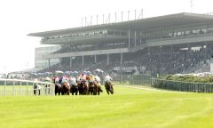 Die Rennbahn in Leopardstown. www.galoppfoto.de - Frank Sorge