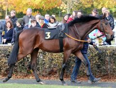 Dschingis First am 4.11.2018 in Krefeld - Foto: Dr. Jens Fuchs