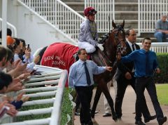 Der Hurricane Run-Sohn Ectot mit Grégory Benoist nach dem Erfolg im Prix Niel. Foto: Dr. Jens Fuchs