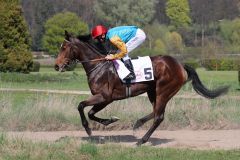 Elaine mit Adrie de Vries beim Aufgalopp zum Düsseldorfer Maidenrennen für Stuten, in dem sie Dritte wurde. Foto: Dr. Jens Fuchs