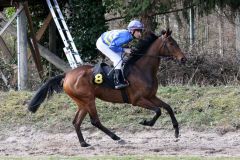 Eyes on me mit Eugen Frank beim Aufgalopp in Krefeld am 22.03.2015. Foto: Dr. Jens Fuchs