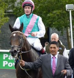 Famous Name mit Patrick Smullen nach dem 10. Gr. III-Erfolg seiner Karriere in den Salonaway Stakes auf dem Curragh 2012. Foto Heidrun Küster