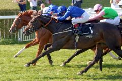 Ein Doppelsieg für die berühmten Godolphin-Farben: Innen siegt Dark Vision unter Jockey Francis Norton vor der eigentlich favorisierten Stute Half Light, auf dem 3. Platz kommt Rubaiyat als bestes deutsches Pferd. www.galoppfoto.de - Frank Sorge