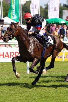 Finoras mit Cristian Demuro beim Aufgalopp in Hamburg. www.galoppfoto.de - Sabine Brose