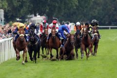 Gefährliche Situation: Emirates Rewards und Jockey Antoine Werle stürzten, beide kamen mit dem Schrecken davon. www.galoppfoto.de - Frank Sorge