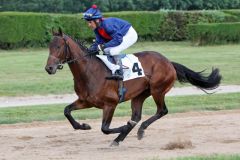 Gereon beim Aufgalopp zum 176. Oppenheim Union-Rennen mit Georg Bocskai, im Derby sitzt Weltklassejockey Johnny Murtagh im Sattel. www.galoppfoto.de