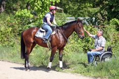 Gereon und Trainer und Besitzer Christian Zschache beim Training in Hoppegarten - im Sattel Helena Hryniewiecka. www.galoppfoto.de