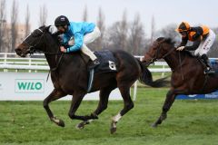 Gestüt Wittekindshofs Elle Shadow gewinnt in Dortmund den Rashit Shaykhutdinov-Cup, das Rennen wird 2011 wieder in Frankfurt als Hessen-Pokal gelaufen. www.galoppfoto.de