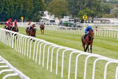 Ghaiyyath und dann lange gar nichts ...: Unter William Buick pulverisierte der Dubawi-Sohn aus dem Godolphin-Imperium die Konkurrenz, Donjah (Lukas Delozier) wurde Zweite vor dem Derbysieger Laccario (Eduardo Pedroza). www.galoppfoto.de