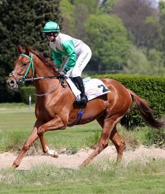 Golden Boy am 30.4.2017 in Düsseldorf - Foto: Dr. Jens Fuchs