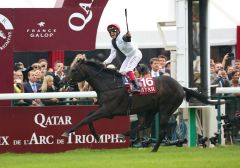  Sieger im wohl prestigeträchtigsten Rennen der Welt, dem mit 5 Millionen Euro dotierten 94. Prix de l'Arc de Triomphe wird Golden Horn mit Frankie Dettori aus England, der für 120.000 Euro nachgenannt worden war. Foto: Dr. Jens Fuchs