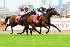 Green Moon mit Brett Prebble nach dem Sieg im Emirates Melbourne Cup. www.galoppfoto.de - Peeo Ploff