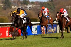 Gruppe-Premiere mit Überraschungssieger: Gestüt Auenquelles Global Thrill (Adrie de Vries) vor Neatico (rechts), Point Black und Empire Storm (verdeckt). www.klatuso.com - Klaus-Jörg Tuchel