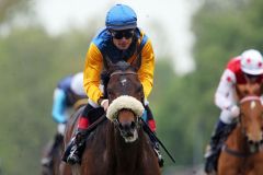 Hat noch eine Derbynennung - der Dresdner Sieger Nordvulkan mit Alexander Pietsch. www.galoppfoto.de - Frank Sorge