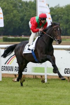 Jetzt in Bremen auf dem Derby-Prüfstand: Hot Beat mit Andrasch Starke beim Aufgalopp in Hannover. www.galoppfoto.de - Sabine Brose